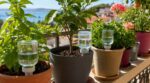 Vacances : ce truc discret que les pépiniéristes glissent au pied des pots pour ne plus retrouver vos plantes grillées