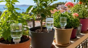 Vacances : ce truc discret que les pépiniéristes glissent au pied des pots pour ne plus retrouver vos plantes grillées