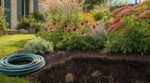 Vivaces : ce choix de mois que font encore la plupart des jardiniers les condamne au tuyau dès la première canicule