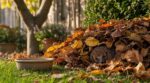 Votre voisin entasse ses feuilles mortes avec une coupelle d’eau : ce réflexe peut en réalité sauver une vie