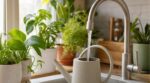 Vous arrosez vos plantes d’intérieur à l’eau du robinet ? Ce détail décide si c’est une bonne idée