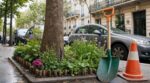 Vous fleurissez le pied d&rsquo;arbre devant chez vous ? Cette règle ignorée permet à la mairie de tout arracher