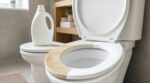 WC jaunis : ce produit du placard que vous mettez dans la machine blanchit la lunette en 1 passage sans frotter