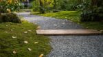 Allée de jardin envahie de mousse : ce geste méconnu des paysagistes en septembre remplace tous vos produits