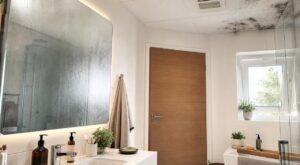 Après la douche, ce geste avec la porte de la salle de bains que font tous les Français favorise les moisissures