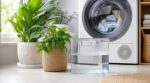 Arrosage : cette eau soi-disant pure de votre sèche-linge abîme vos plantes sans que vous le voyiez