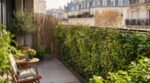 Balcon en ville : ne posez plus de canisse en septembre, les paysagistes misent sur ce brise-vue végétal bluffant