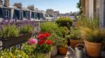balcon-grille-jardin-qui-jaunit-ces-6-plantes-plein-soleil-fleurissent-tout-lete-avec-presque