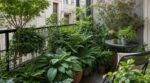 balcon-plein-nord-ces-plantes-dombre-meconnues-qui-sepanouissent-sans-soleil-et-sauvent-enfin