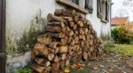 Bois de chauffage : ce tas collé à la façade en septembre est l’erreur qui attire les pires envahisseurs chez vous