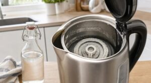 Bouilloire et vinaigre blanc : ce test du doigt sur la résistance révèle l’erreur qui fait grimper la facture