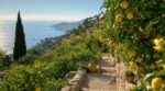 Ce jardin de citronniers sur une colline de la Côte d’Azur est l’un des plus beaux de France : l’idée à copier cet été