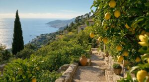Ce jardin de citronniers sur une colline de la Côte d'Azur est l'un des plus beaux de France : l'idée à copier cet été