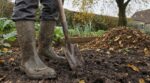 Ce sol argileux qui colle aux bottes : arrêtez de le maudire, ce geste avant l’hiver change tout au potager