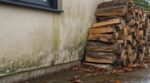 Ce tas de bûches contre son mur lui semblait pratique : au premier froid, il a réalisé l’erreur qui menace sa maison