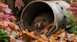 Ce vieux seau percé ne doit plus finir à la poubelle : il offre un abri d’hiver vital à ce petit animal du jardin