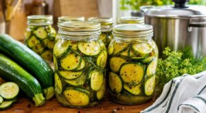 Courgettes : oubliez le frigo, cette méthode en bocaux les garde fraîches 6 mois sans congélateur