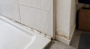 Douche : cette erreur avec le joint silicone rassure les proprios mais détruit la cloison sans prévenir