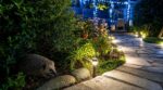 Éclairage de jardin : cette couleur de LED fait fuir les hérissons et vous prive de votre anti-limaces naturel