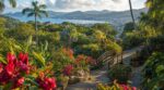 En Martinique, ce jardin botanique change chaque mois : l&rsquo;erreur de date que font la plupart des touristes