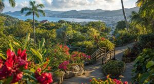 En Martinique, ce jardin botanique change chaque mois : l'erreur de date que font la plupart des touristes