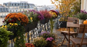 Exit les géraniums fatigués : ces 5 fleurs d’automne réveillent vos jardinières et balconnières jusqu’aux gelées