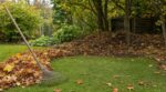 Feuilles mortes au jardin : ce geste de septembre appauvrit votre sol, les anciens faisaient l&rsquo;inverse