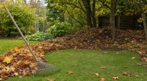 Feuilles mortes au jardin : ce geste de septembre appauvrit votre sol, les anciens faisaient l'inverse