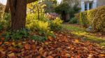 Feuilles mortes : cette erreur de jardinage prive en silence ces 3 endroits d&rsquo;une protection essentielle
