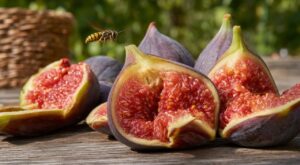 Figues de septembre fendues : ce réflexe dangereux que les apiculteurs supplient d&rsquo;éviter avant de croquer