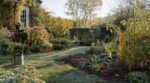 Fin septembre, votre jardin paraît prêt pour l’hiver : ces 5 oublis cachés le condamnent aux premières gelées