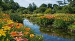 Finistère : ce jardin aquatique méconnu cache un trésor de plus de 120 variétés d’hémérocalles à voir avant la foule