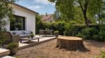 Il abat un arbre qui assombrit sa terrasse : cette erreur avec le PLU lui coûtera bien plus cher que la souche