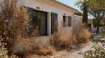 Incendies de maison : ces plantes très courantes au jardin ne devraient jamais être collées à la façade