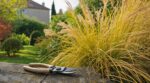 Jardin : cette erreur avec vos graminées en septembre, que les paysagistes ne font jamais, coûte cher au printemps