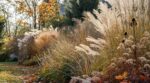 Jardin : cette erreur d&rsquo;automne avec vos graminées que ce paysagiste ne fait jamais abîme vos massifs en silence