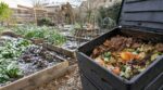Jardin : ne jetez plus ces 5 déchets du quotidien, ils valent bien plus qu’un sac d’engrais chimique selon les maraîchers