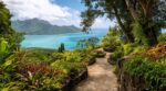 La Réunion : ce jardin méconnu perché au-dessus du lagon cache un incroyable sanctuaire de biodiversité