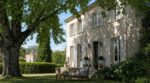 Les anciens plantaient cet arbre plein sud : quand il perd ses feuilles, vos factures chutent sans clim