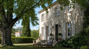 Les anciens plantaient cet arbre plein sud : quand il perd ses feuilles, vos factures chutent sans clim