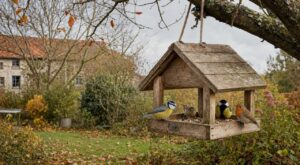 Mangeoire à oiseaux : ignorer ce signe d'automne précis fragilise vos oiseaux, la LPO donne raison aux anciens