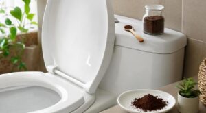 Marc de café dans les toilettes : ce geste quotidien a failli boucher mes canalisations, voici la dose à ne pas dépasser