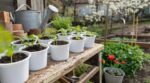 Ne jetez plus cet emballage plastique au bac jaune : ce qu’il fait à vos semis au fond du jardin