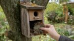 Nichoirs au jardin : ce geste à faire fin septembre avec le vieux nid évite un carnage au printemps