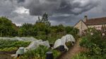 Orages de fin d’été : ce rituel de 60 minutes pour sauver votre jardin (et l’erreur qui ruine tout)