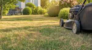 Pelouse grillée en septembre : cette hauteur de tonte ruine votre gazon, les paysagistes font l’inverse cette semaine