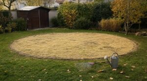 Piscine hors-sol : ces 3 gestes sur le cercle jaune avant le froid, sinon votre pelouse mettra des mois à se remettre