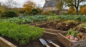 Potager d'automne : ne rangez surtout pas vos outils avant d'avoir planté ces 3 légumes faciles pour Noël