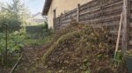 Potager de septembre : cette montagne brun-vert que les pompiers repèrent depuis la rue peut tout faire flamber