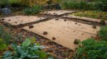 Potager : en octobre, laisser la terre nue est une erreur fatale, ce simple carton change tout au printemps